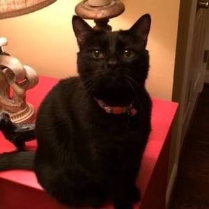 Meet your Posher, Michelle